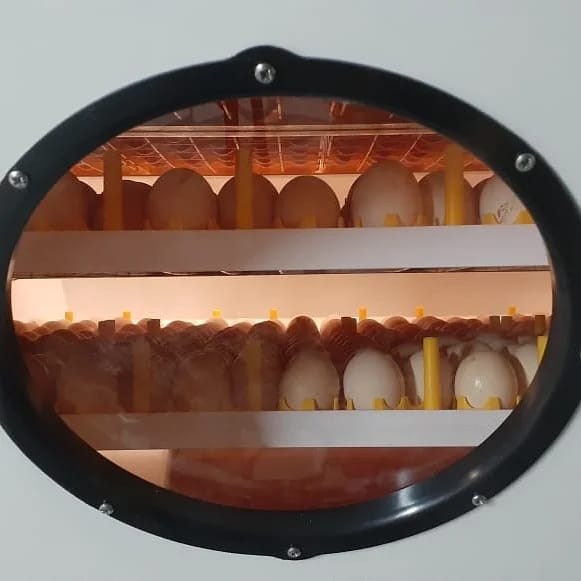 10d4eeba-75c1-4c38-bd2a-18c9a79ffde5