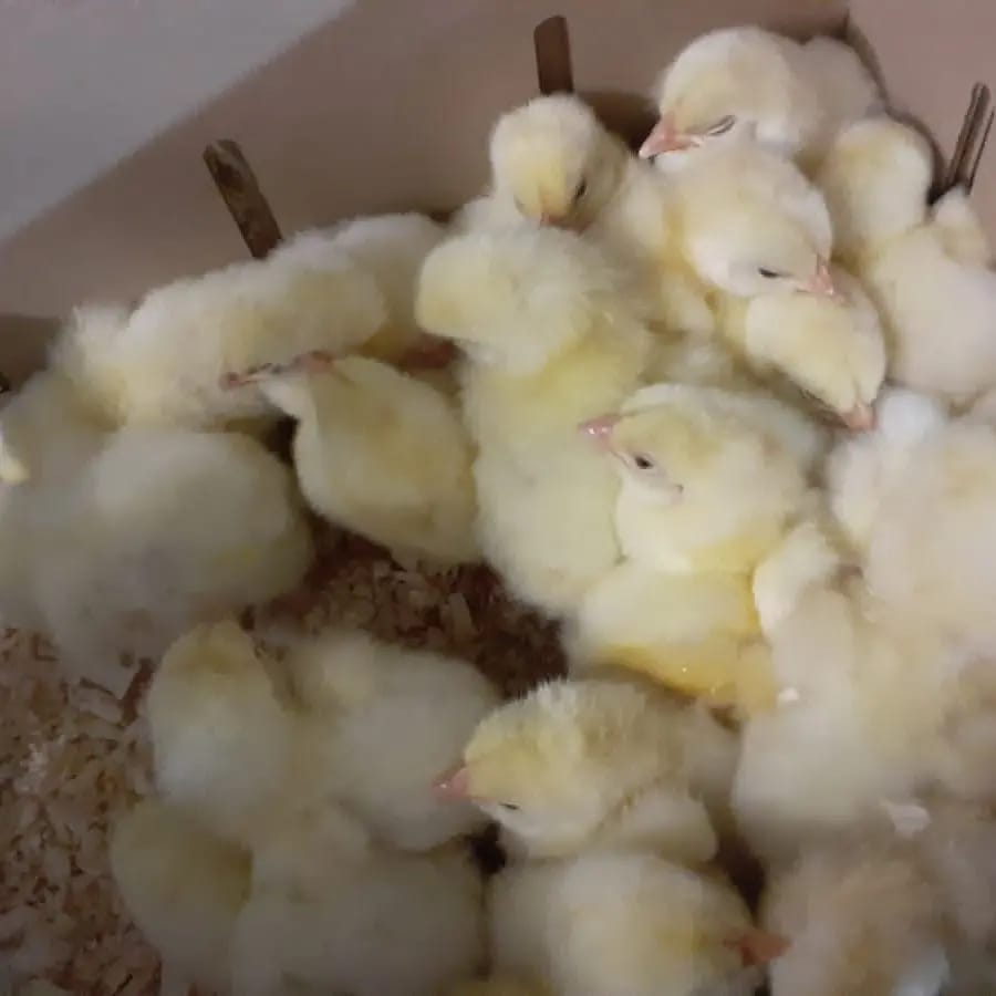 13116135-9c09-4d27-9fa6-91f4f64feff1