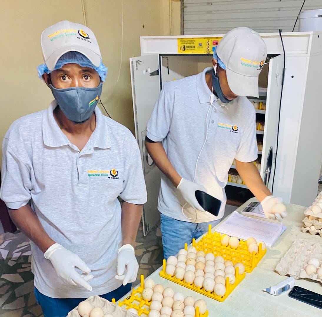 3e52b601-08ba-4a12-935b-894857218dec