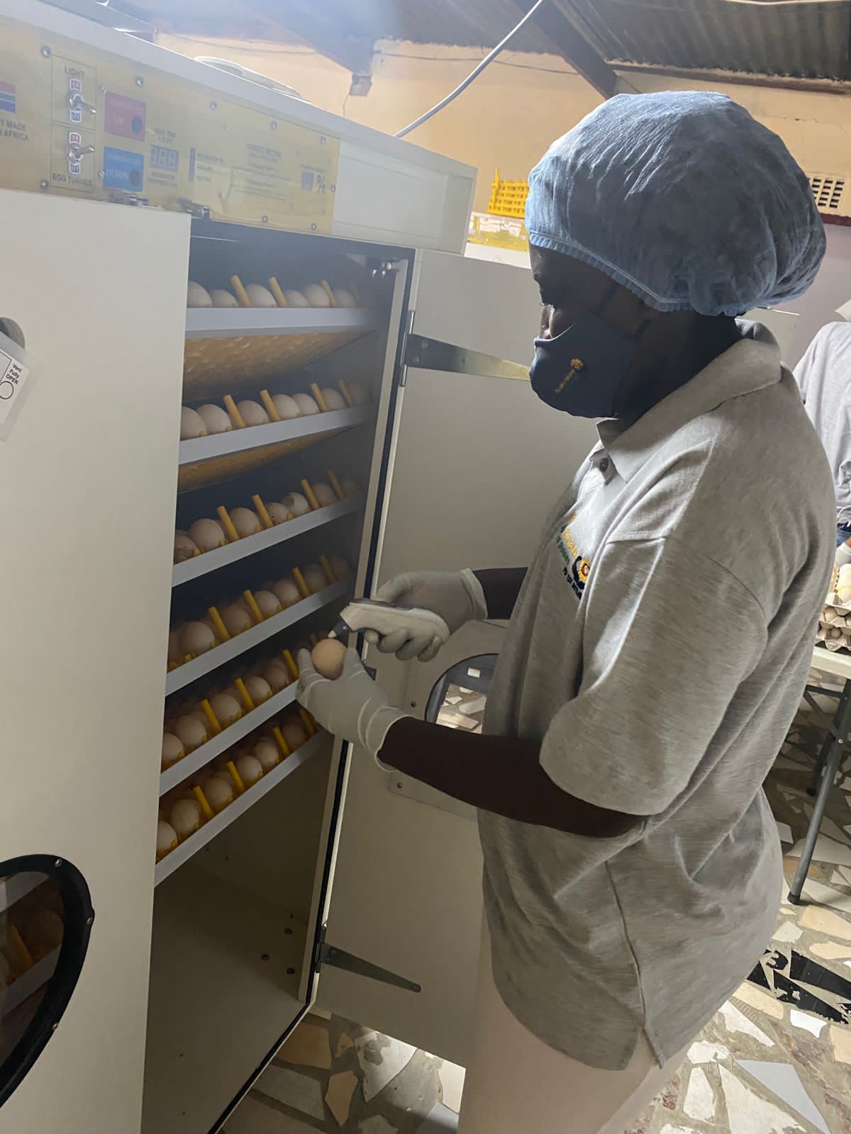 8ff1c2e7-a7aa-4bb7-bc27-49255f2169b6