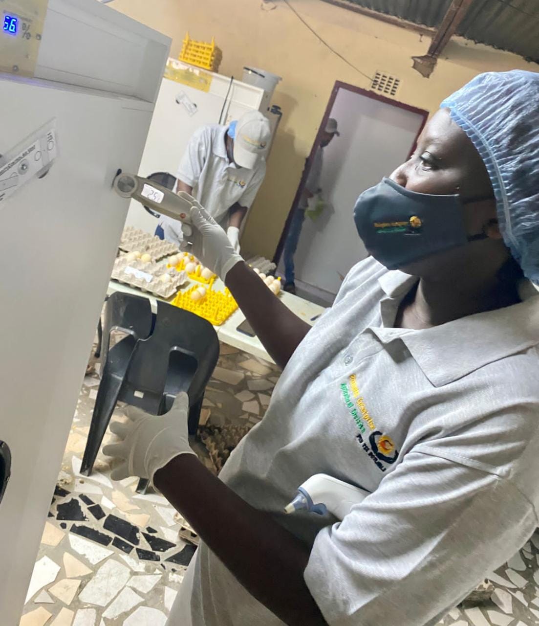 99c2bd2a-ff5f-45f8-996c-85232e035529