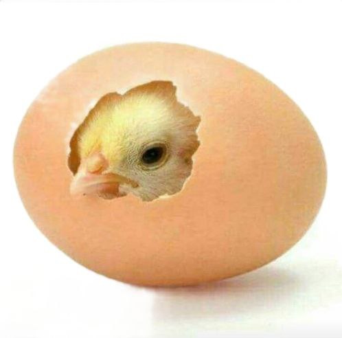 b726f670-abc9-4270-99ca-da237e1fc655